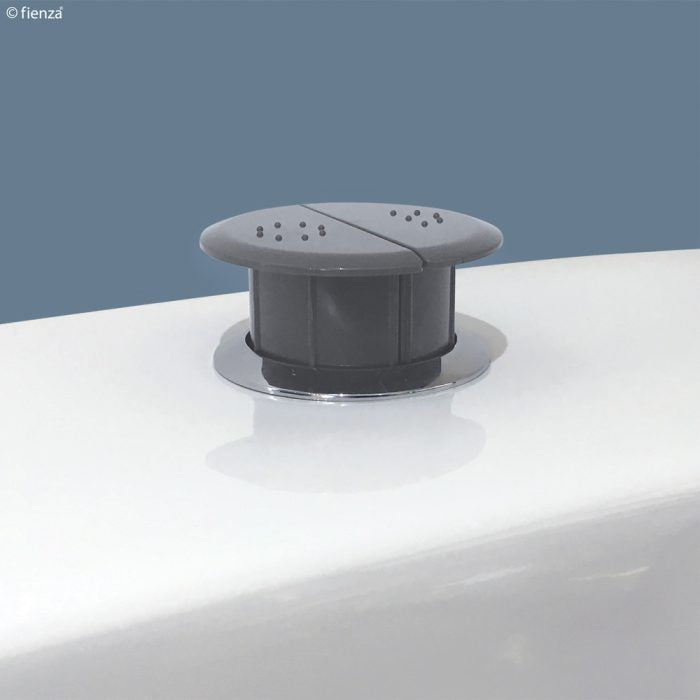 Raised Grey Care Flush Button