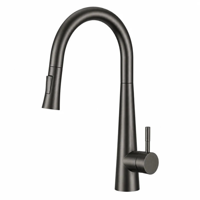Regio Pull-Out Kitchen Mixer Tap