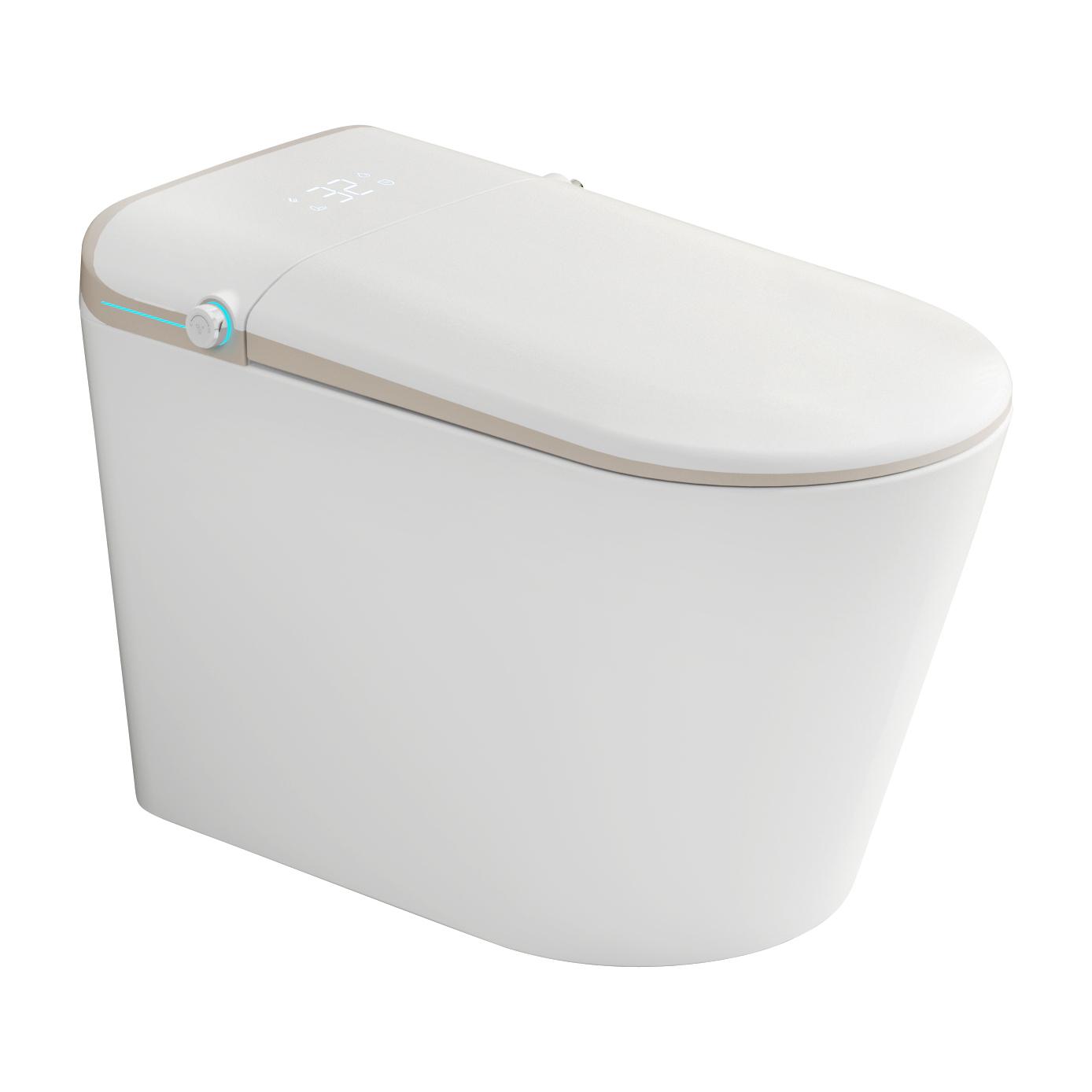 REGIO TOSTK2704047 SMART TOILET
