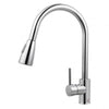 Round Chrome Pull Out Shower Kitchen Sink Mixer Tap
