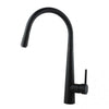 Round Black 360° Swivel Pull Out Kitchen Sink Mixer Tap Solid Brass