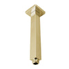 Cavallo Brushed Yellow Gold Square Ceiling Shower Arm 200mm