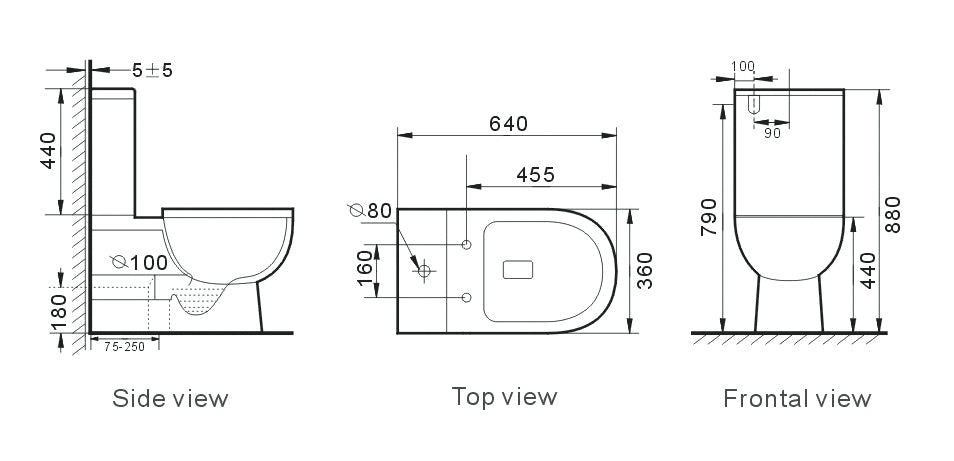 T6016 — Back to Wall RIMLESS Toilet Suite