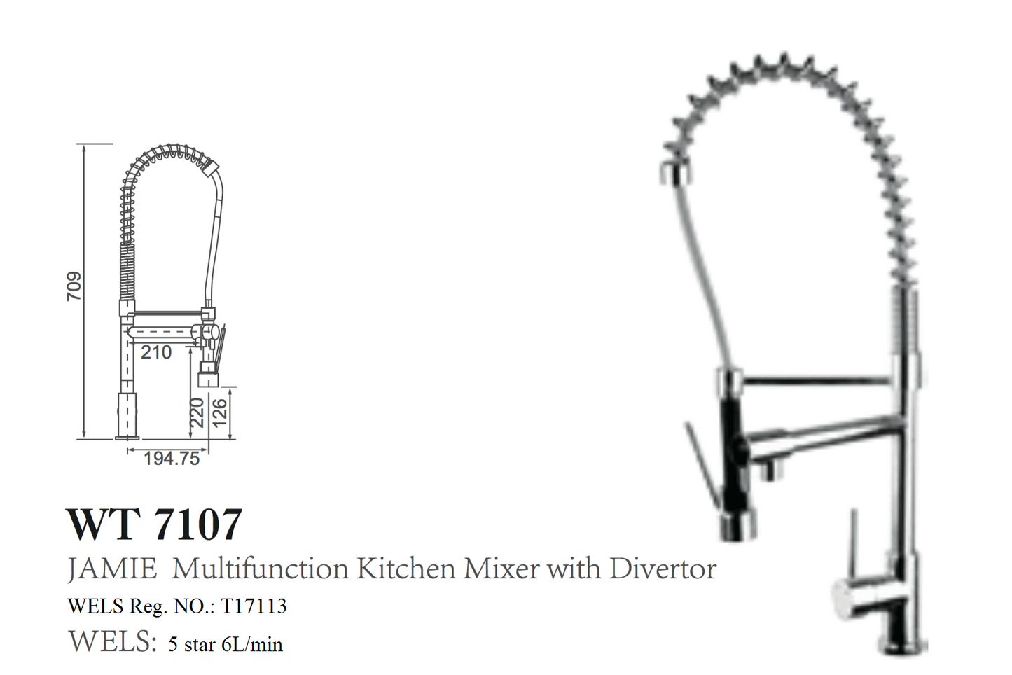 JAMIE MULTIFUNCTION KITCHEN MIXER WITH DIVERTOR