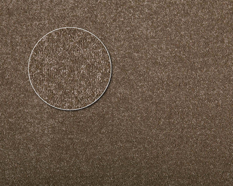 APARTMENT MODEL CARPETS