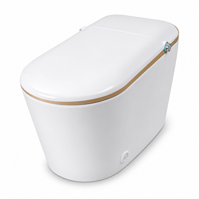 Smart Toilet