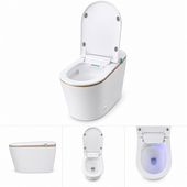 Smart Toilet