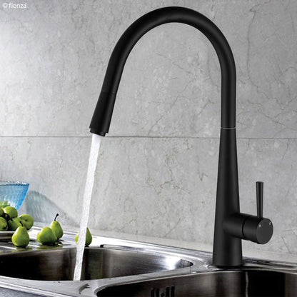 HUSTLE Deluxe Gooseneck Pull Out Kitchen Mixer Matte Black