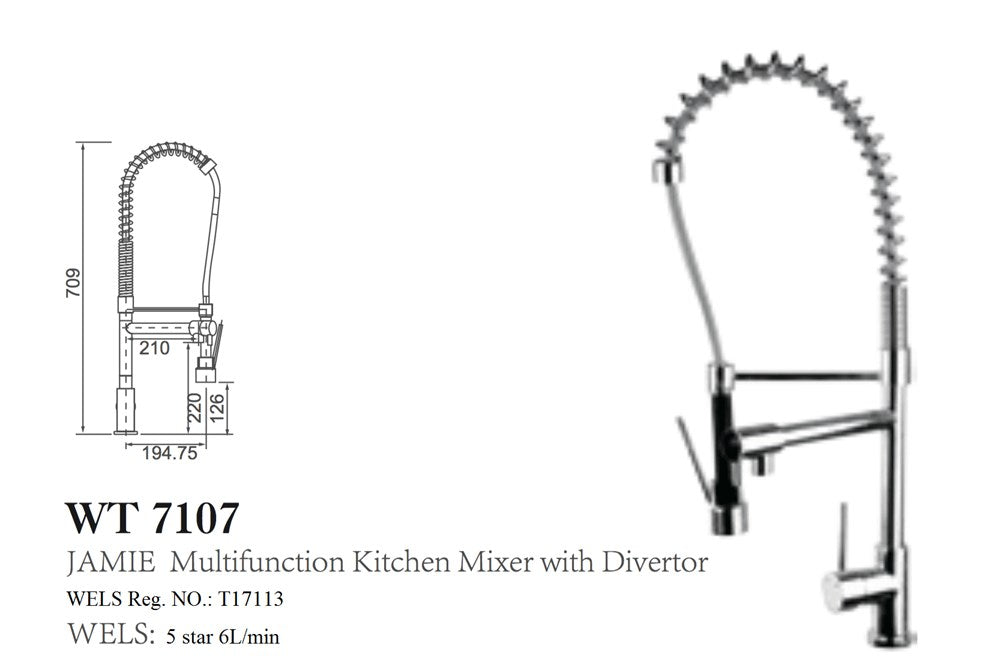 JAMIE Multifunction Kitchen Mixer with Diverter