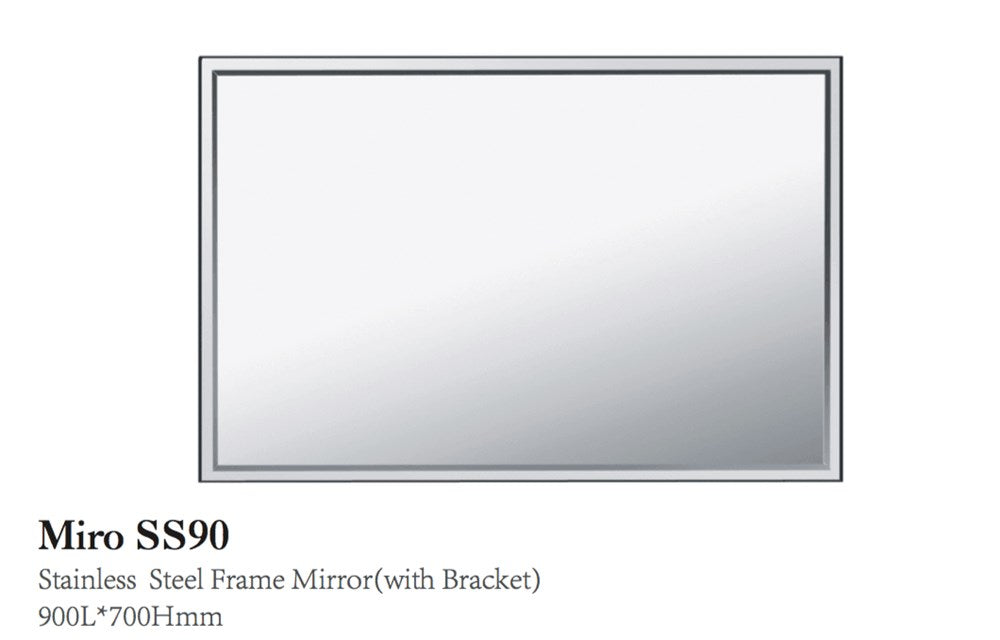 MIRROR St/St Edge 900x700*