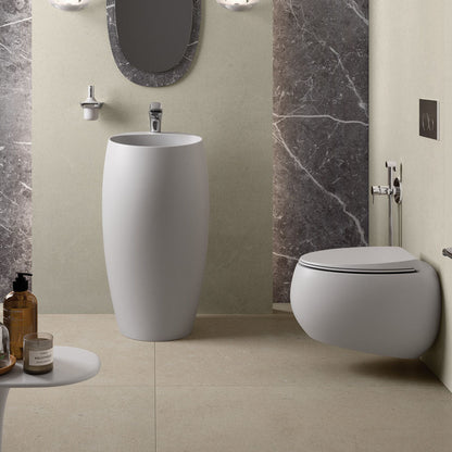 RAK Cloud Wall-Hung Toilet Suite