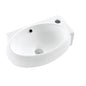 TB422 Above Counter / Wall Mounted Basin 435*300*130mm