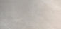 300 X 600 Ceramic Tiles - Gloss Grey
