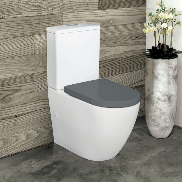 Alix Back-to-Wall Toilet Suite, Grey Seat