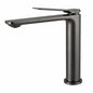 Regio Cacey Series Tall Basin Mixer