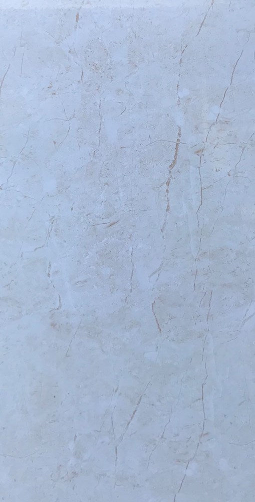 300x600 Polish beige