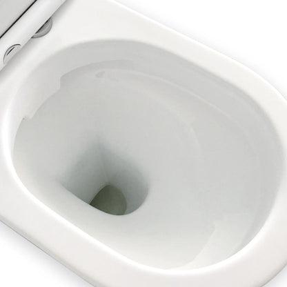 Delta Back-to-Wall Toilet Suite