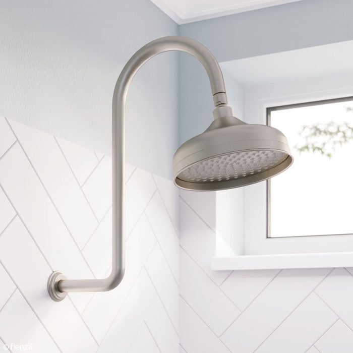 LILLIAN Shower Arm and Head Set Brushed Nickel