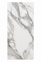 600x1200mm Porcelain Tiles - ARABESCATO CARRARA - GLOSS