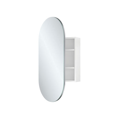 Mirror Cabinet Pill Pencil Edge Internal Magnifying Mirror 450 x 900 x 150mm
