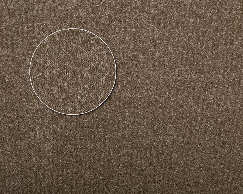 APARTMENT MODEL CARPETS