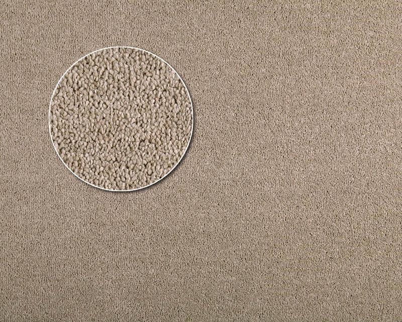 APARTMENT MODEL CARPETS