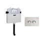 RT Pneumatic In Wall Cistern for PWD Pans w/ Raised Gloss White Flush Buttons