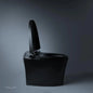 Digitial remote controlled smart toilet