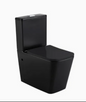 Besile Universal Rimless Back to Wall Toilet Suites -  Matte Black