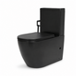 Toilet Suite