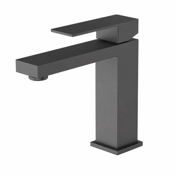 Regio Vogue Short Basin Mixer