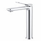 Regio Cacey Series Tall Basin Mixer