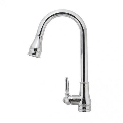 Kitchen Sink Mixer
