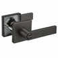 Regio Square Privacy Lever Door Handle