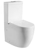 Harmony Gloss White Tornado Flush Back To Wall Toilet Suite Close Coupled Soft Close Seat 4-Star WELS 640mm Projection Universal Inlet White