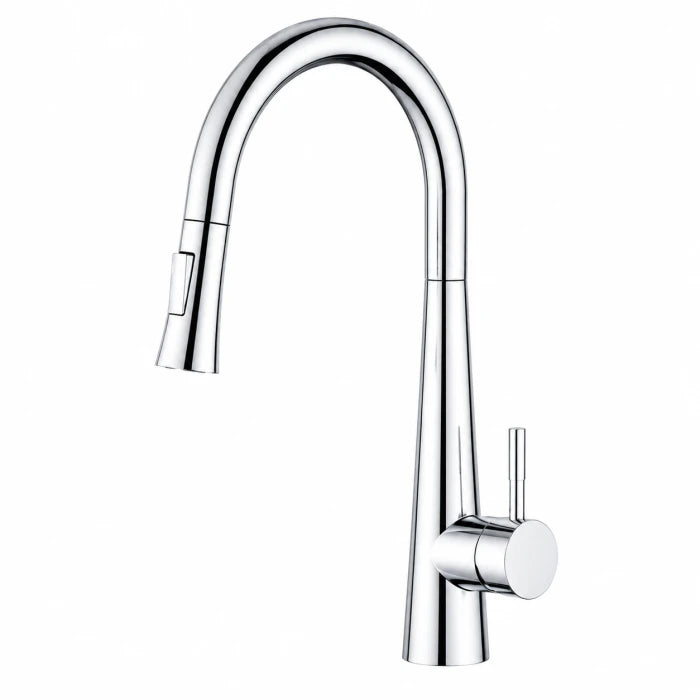 Regio Pull-Out Kitchen Mixer Tap