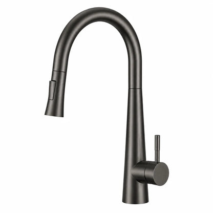 Regio Pull-Out Kitchen Mixer Tap