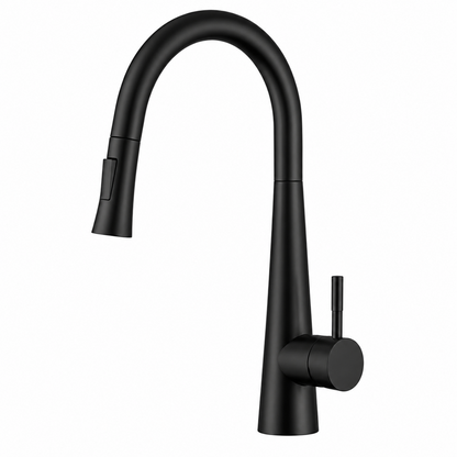 Pull Out Kitchen Mixer