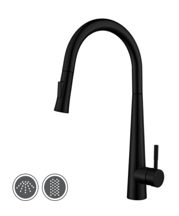 Pull Out Kitchen Mixer