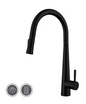 Pull Out Kitchen Mixer