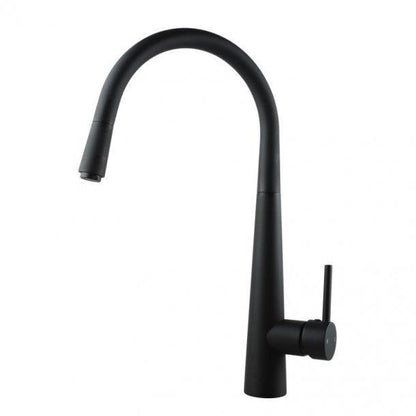 Kitchen Sink Mixer