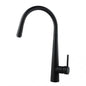 Kitchen Sink Mixer