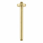 Round Ceiling Mounted Shower Arm