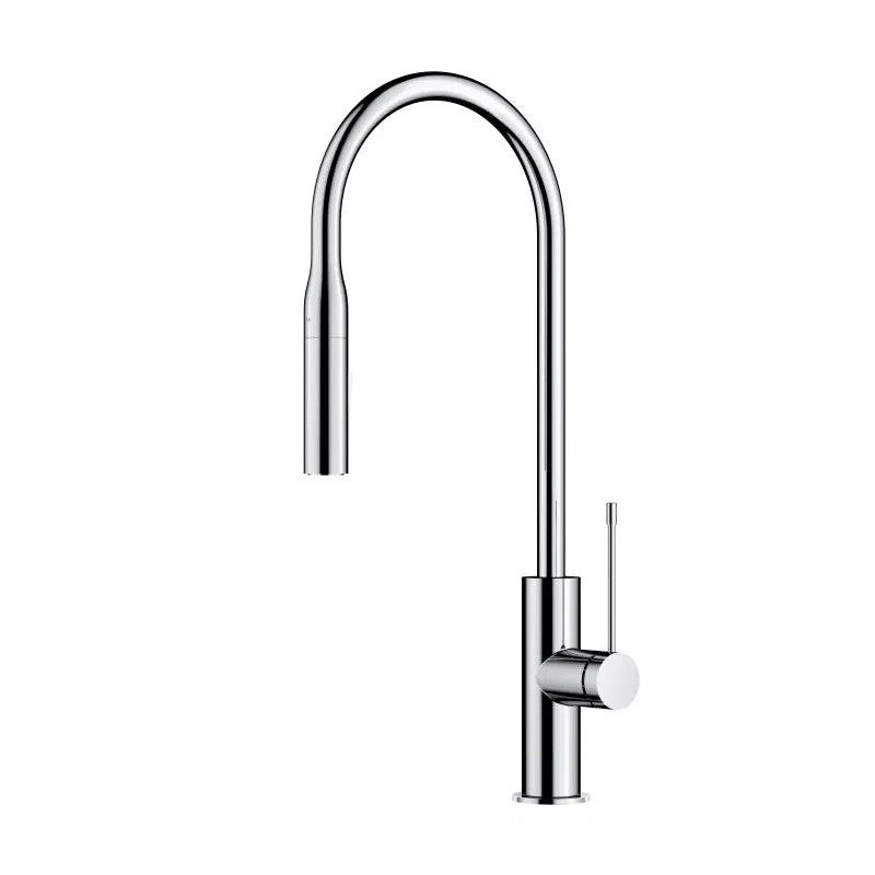Kitchen Sink Mixer