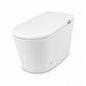 REGIO Smart Toilet Top Model