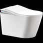 REGIO Smart Toilet