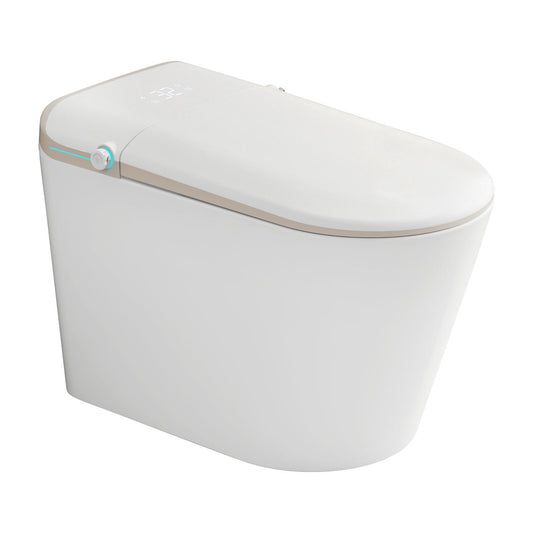 REGIO TOSTK2704047 SMART TOILET