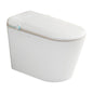REGIO TOSTK2704047 SMART TOILET