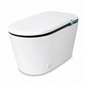 REGIO Smart Toilet Top Model