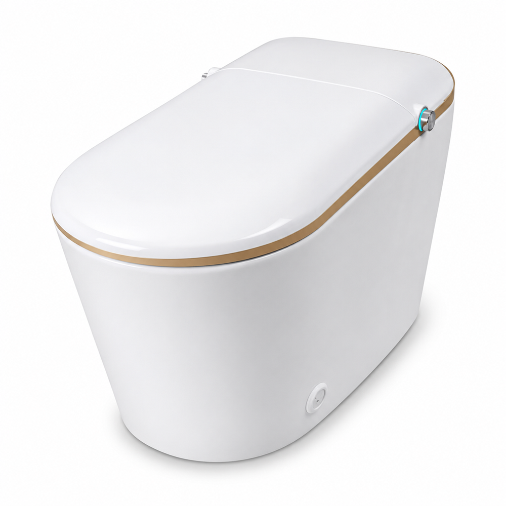 REGIO Smart Toilet Top Model